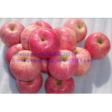 Yantai Origin New Crop Fresh Fruit FUJI Apple Export Grade